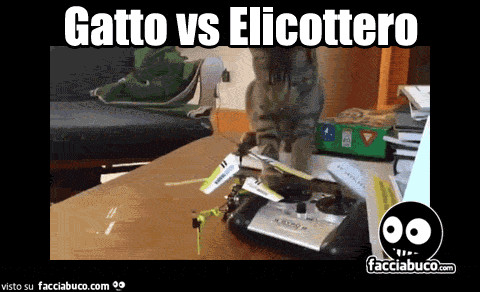 Gif animata: gatto vs elicottero radiocomandato