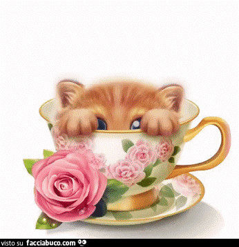 gif animata