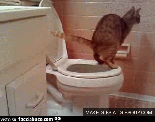 Gif Animata
