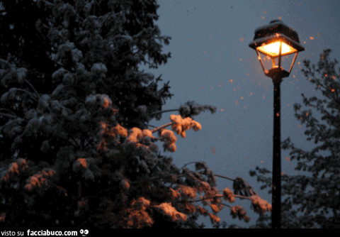 gif animata