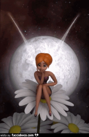 gif animata