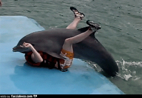 gif animata