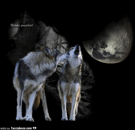 Gif Animata