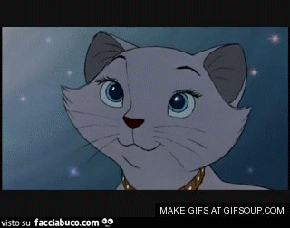 gif animata