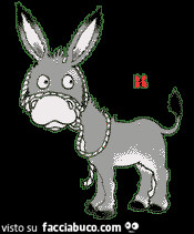 gif animata